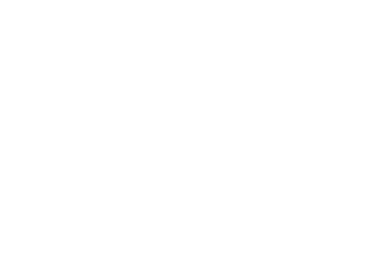 Princettia logo