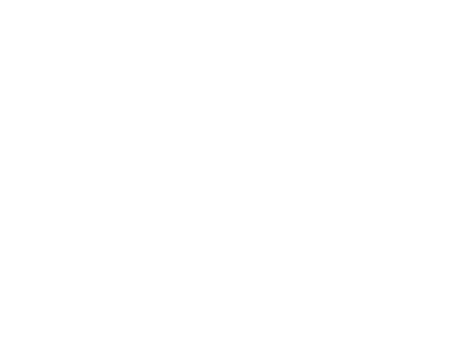 Surfinia logo