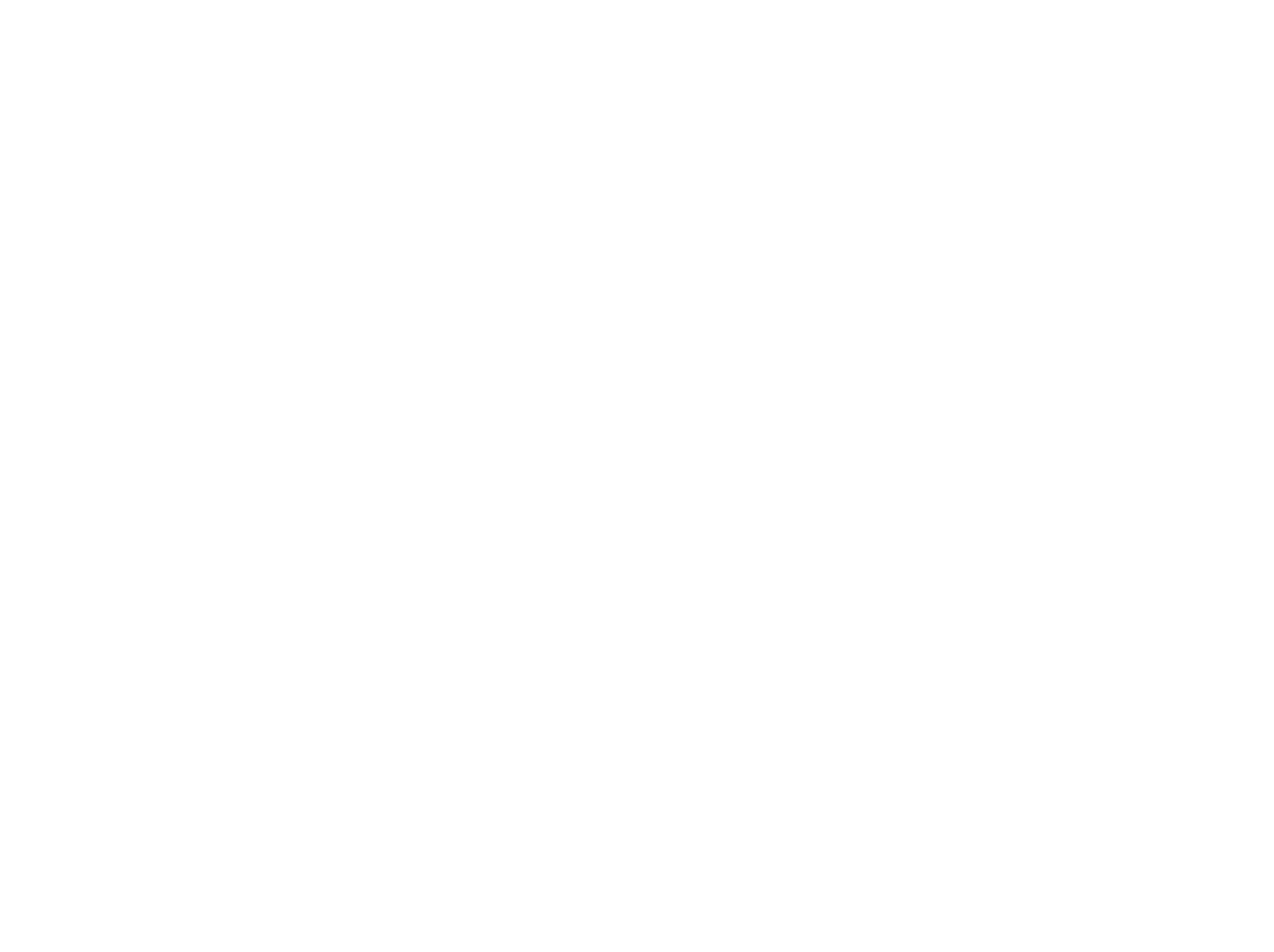 Senetti logo